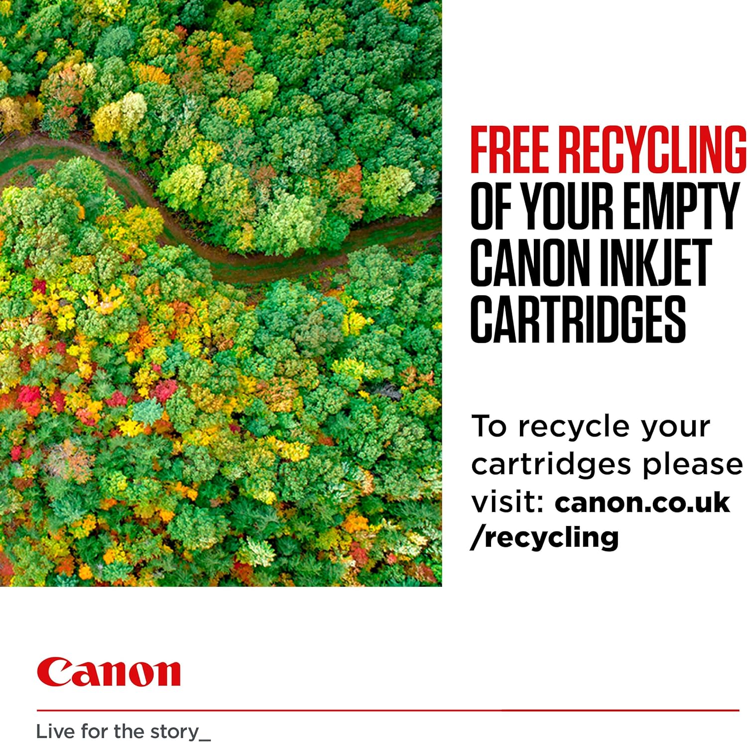 Canon PG540 L CL541 XL Vorteilspack 2 Tintenpatronen größere Reichweite L/LX (Schwarz L, Farbe XL) Original +50 Blatt 10x15cm Photo Paper