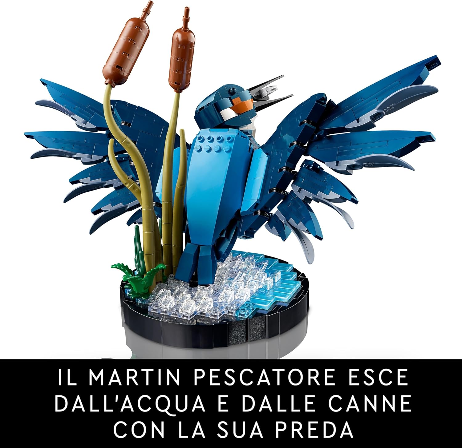 LEGO Icons Kingfisher Bird Set, Model Building Kit for Adults to Build with Water Setting Display Stand, Great Home and Office Desk Décor, Valentine's Day Gifts for Women, Men, Her or Him, 10331 Singl