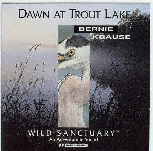 Dawn at Trout Lake