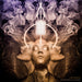 Echoes from the Universe