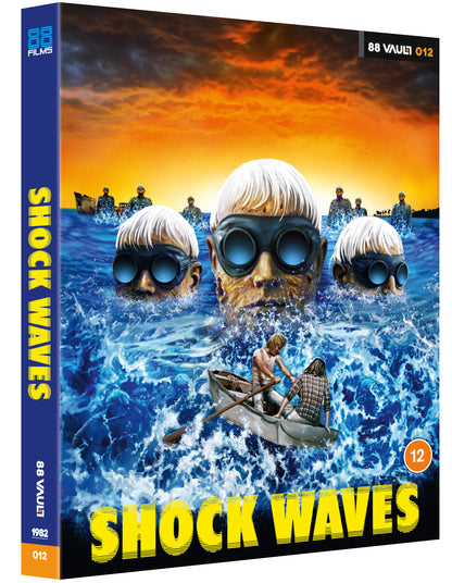 Shock Waves