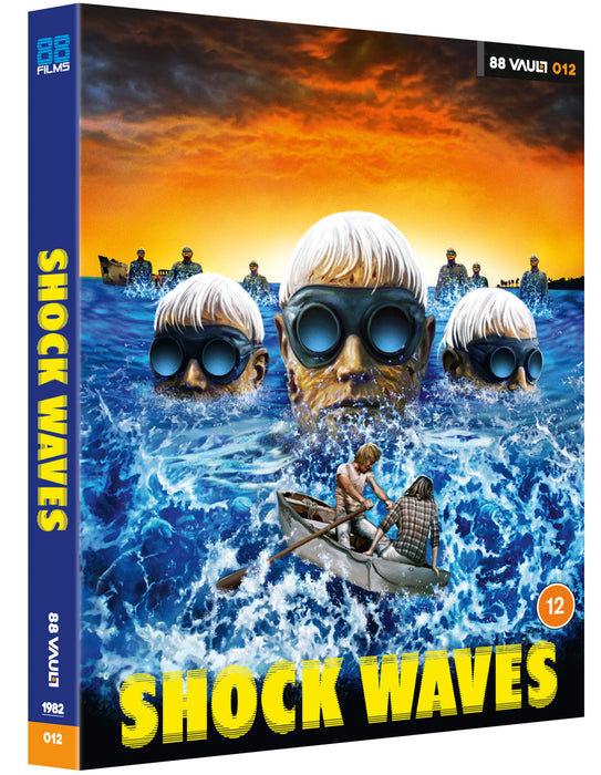 Shock Waves