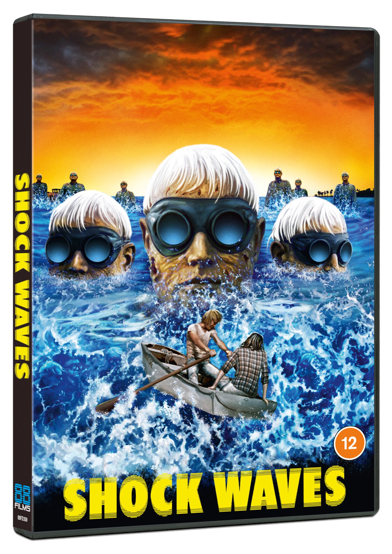 Shock Waves