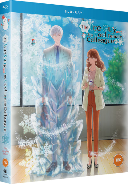 The Ice Guy and His Cool Female Colleague - The Complete Season
