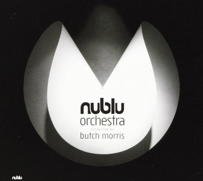 Nublu Orchestra