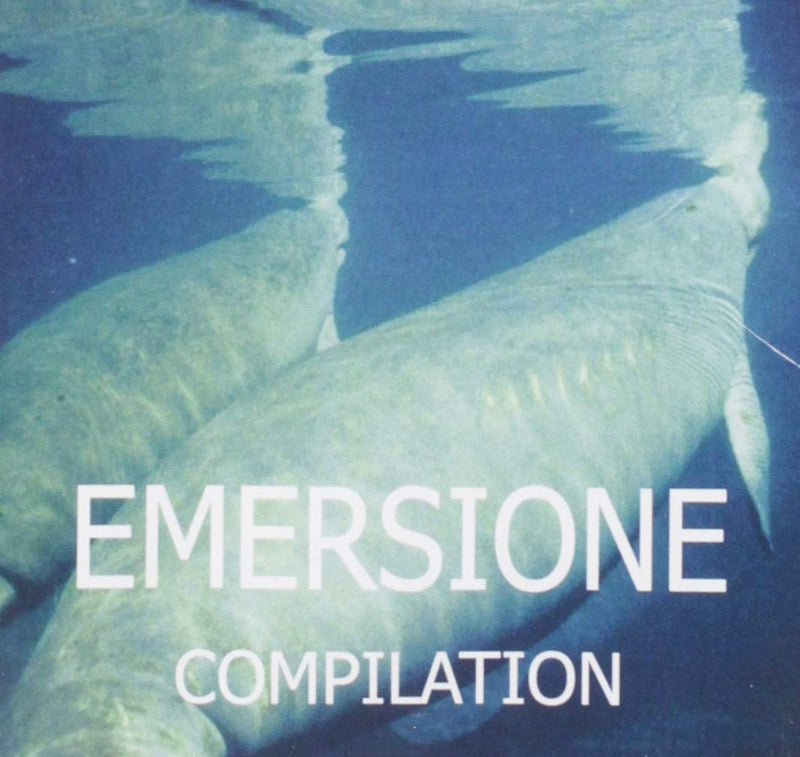 Emersione