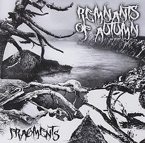 Fragments
