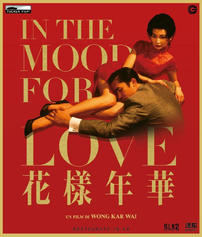 In The Mood For Love - (Italian Import)