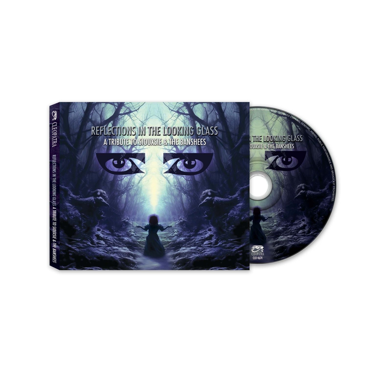 Reflections in the Looking Glass: A Tribute to Siouxsie & the Banshees