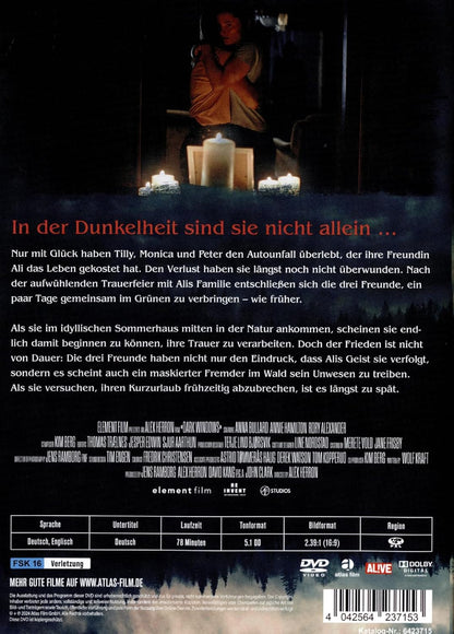 HERRON, ALEX - DARK WINDOWS - FENSTER ZUR FINSTERNIS