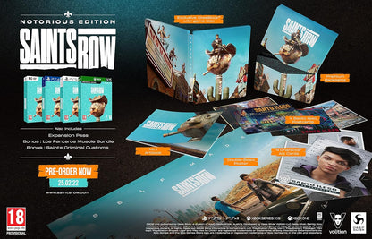 SAINTS ROW - Notorious Edition