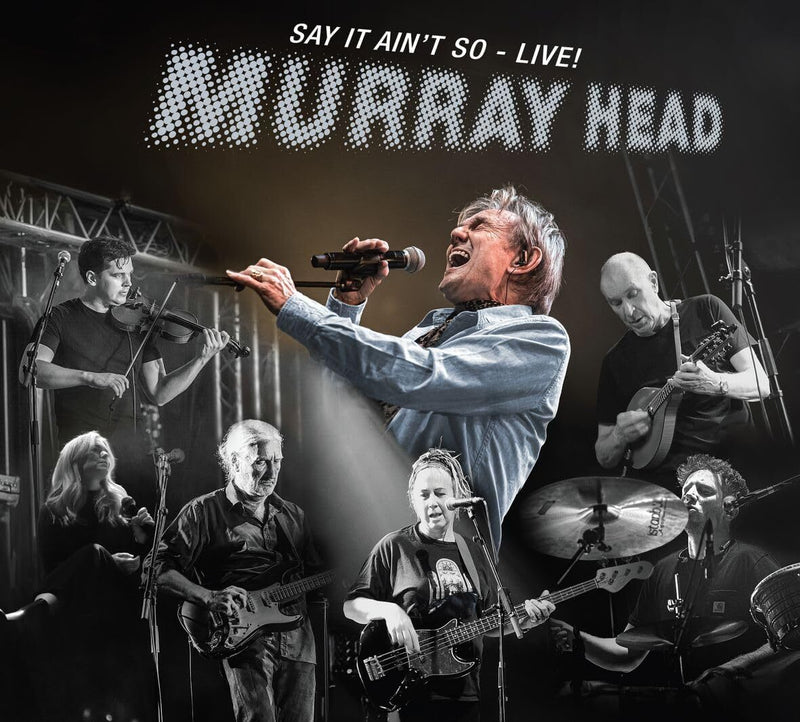 Say It Ain't So (live)