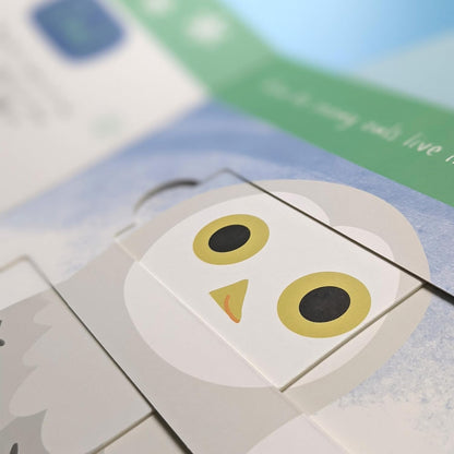 Polar Animals: Who is Hiding in the Puzzle? (Little Wonders Puzzle Slider Board Book