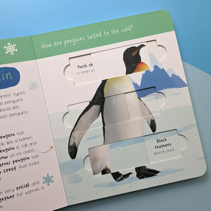 Polar Animals: Who is Hiding in the Puzzle? (Little Wonders Puzzle Slider Board Book