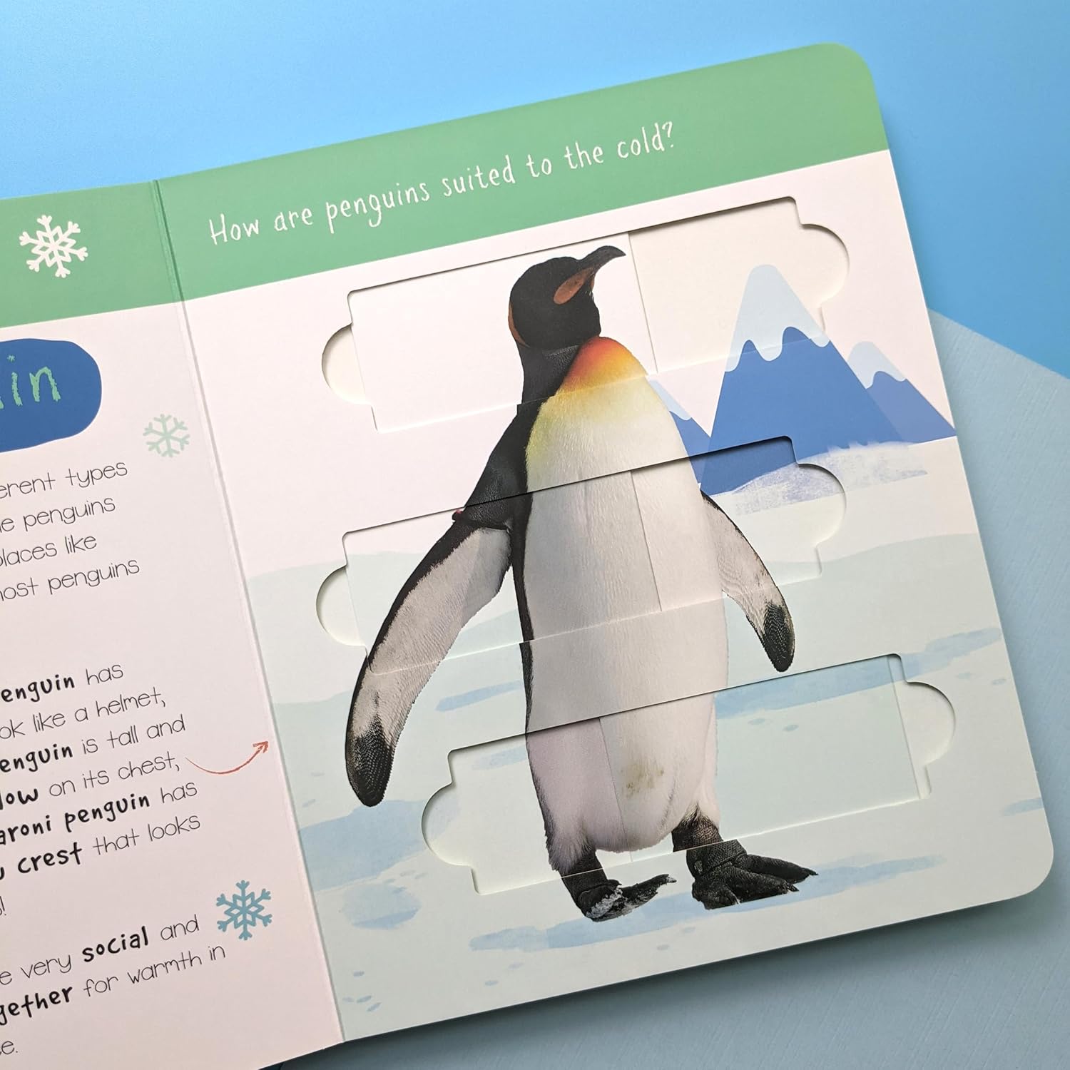 Polar Animals: Who is Hiding in the Puzzle? (Little Wonders Puzzle Slider Board Book