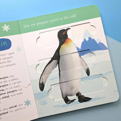 Polar Animals: Who is Hiding in the Puzzle? (Little Wonders Puzzle Slider Board Book