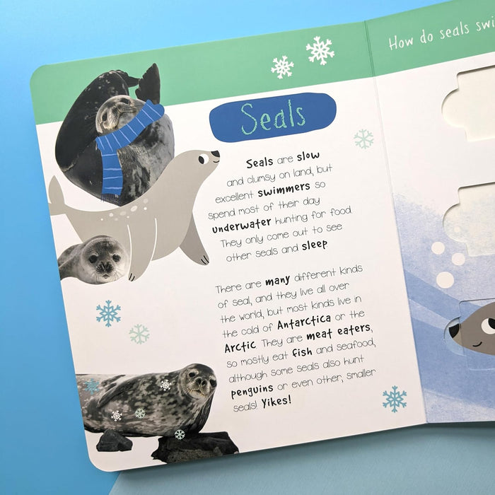 Polar Animals: Who is Hiding in the Puzzle? (Little Wonders Puzzle Slider Board Book