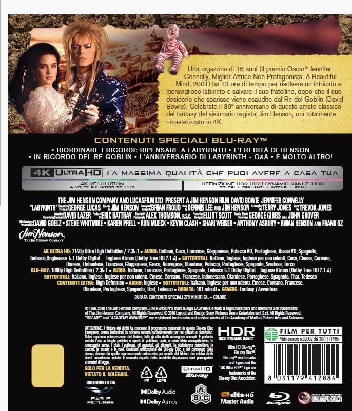 Labyrinth   (English audio. English subtitles)