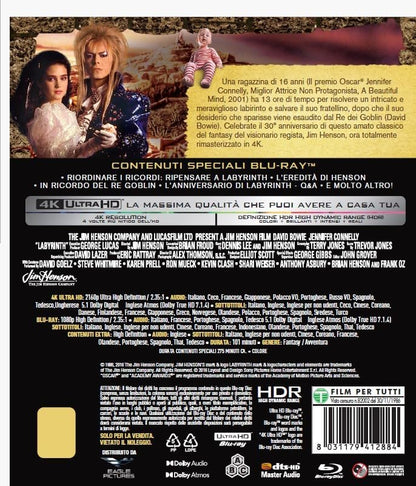 Labyrinth   (English audio. English subtitles)