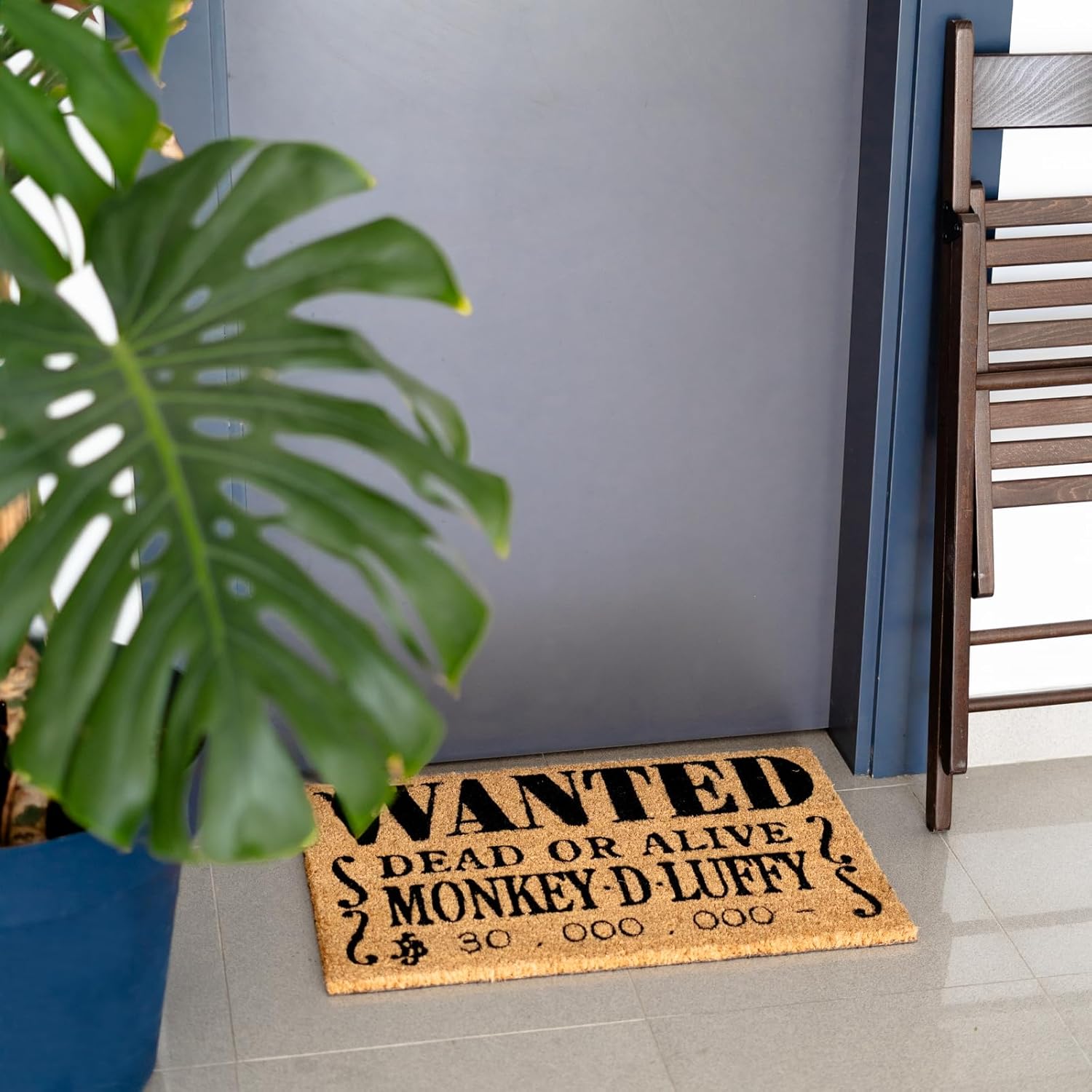 Grupo Erik: Zerbino One Piece - Tappeto Casa One Piece, fabbricato con base in PVC antiscivolo, 40 x 60 cm, Tappeto One Piece Pavimento, Accessori casa One Piece
