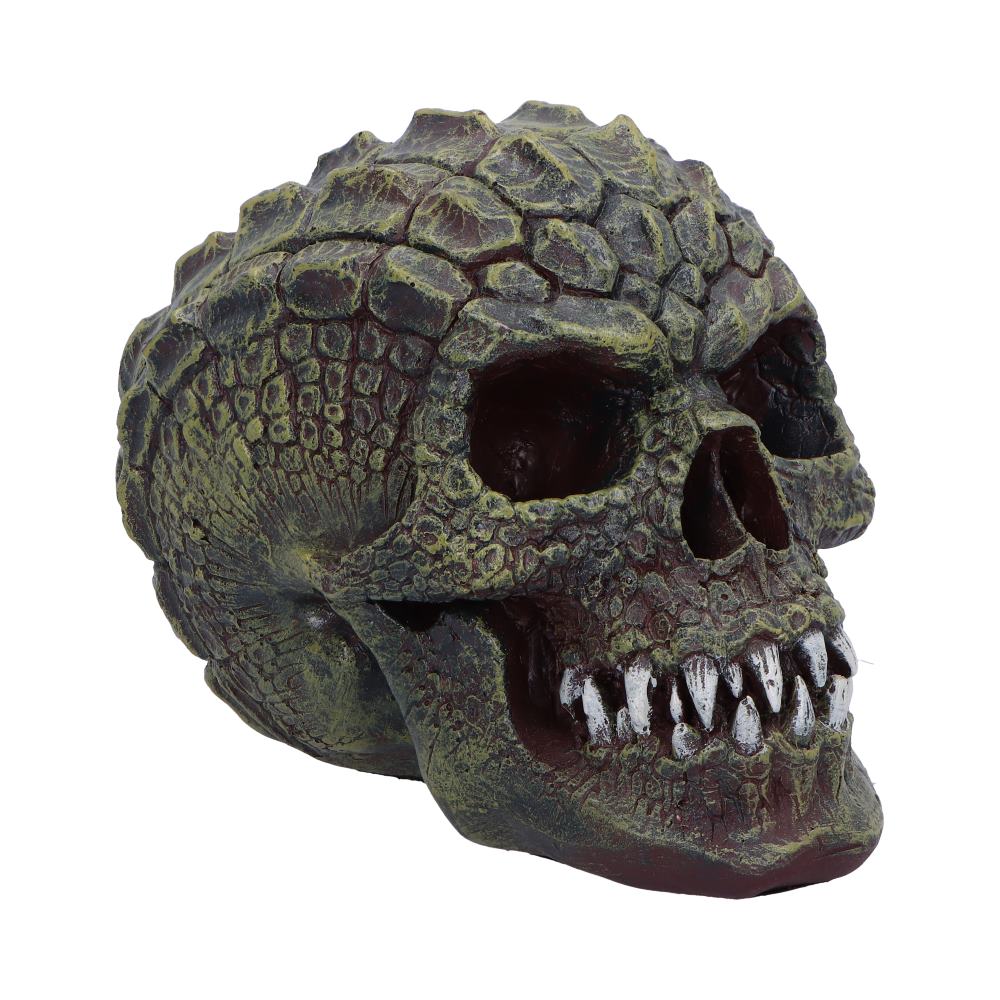 Reptillian Scale Skull 17Cm