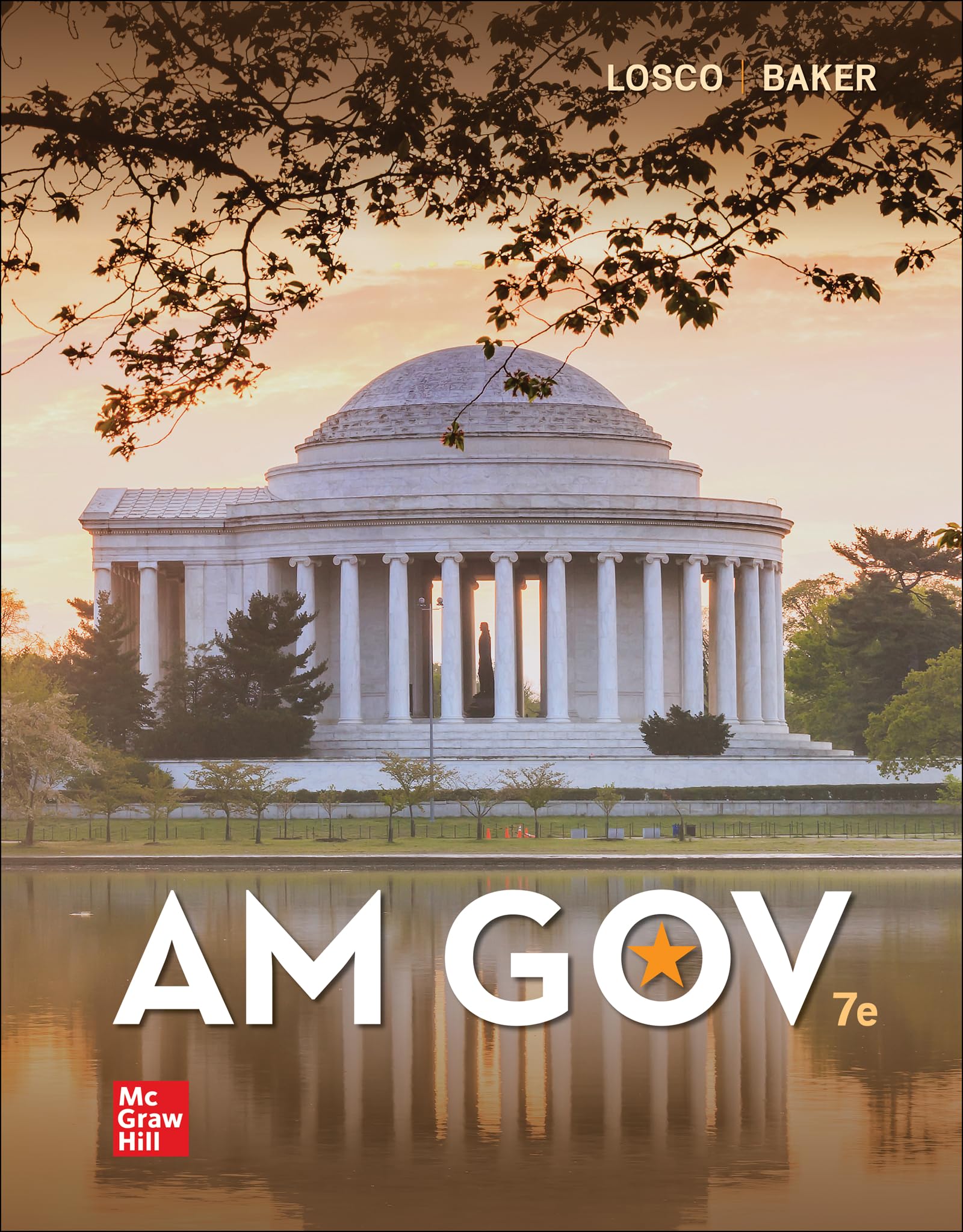 Looseleaf for Am Gov