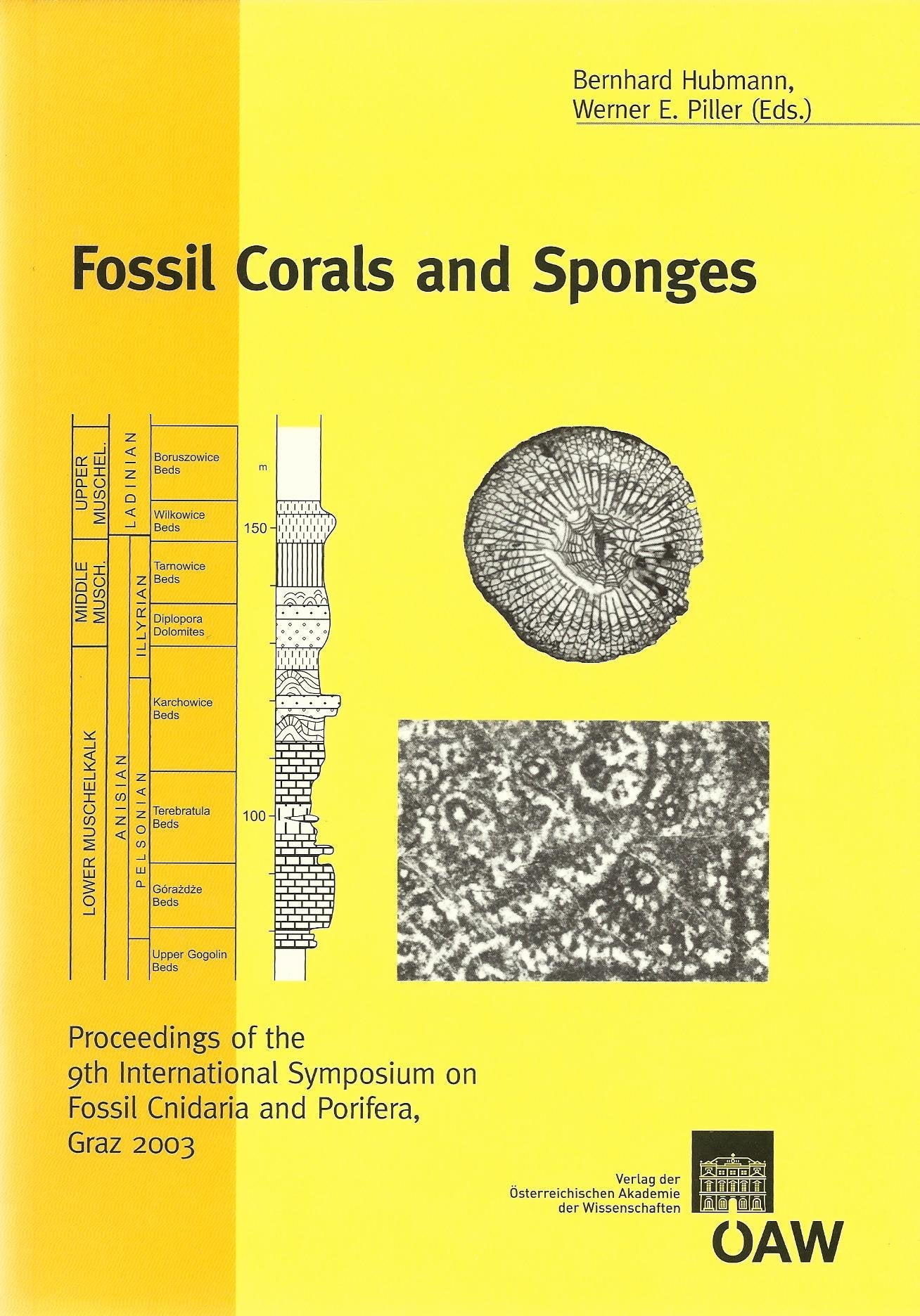 Fossil Corals and Sponges