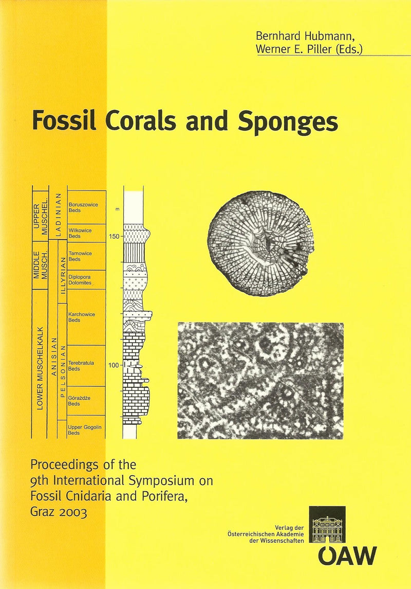 Fossil Corals and Sponges