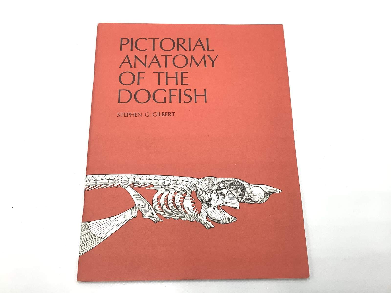 Pictorial Anatomy of the Dogfish