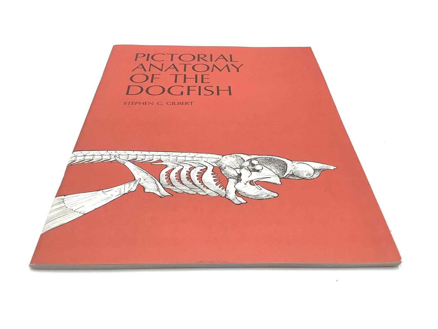 Pictorial Anatomy of the Dogfish