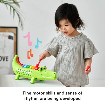 Fisher-Price 22282 Licensing Xylophone, Multicolour