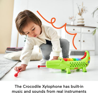 Fisher-Price 22282 Licensing Xylophone, Multicolour