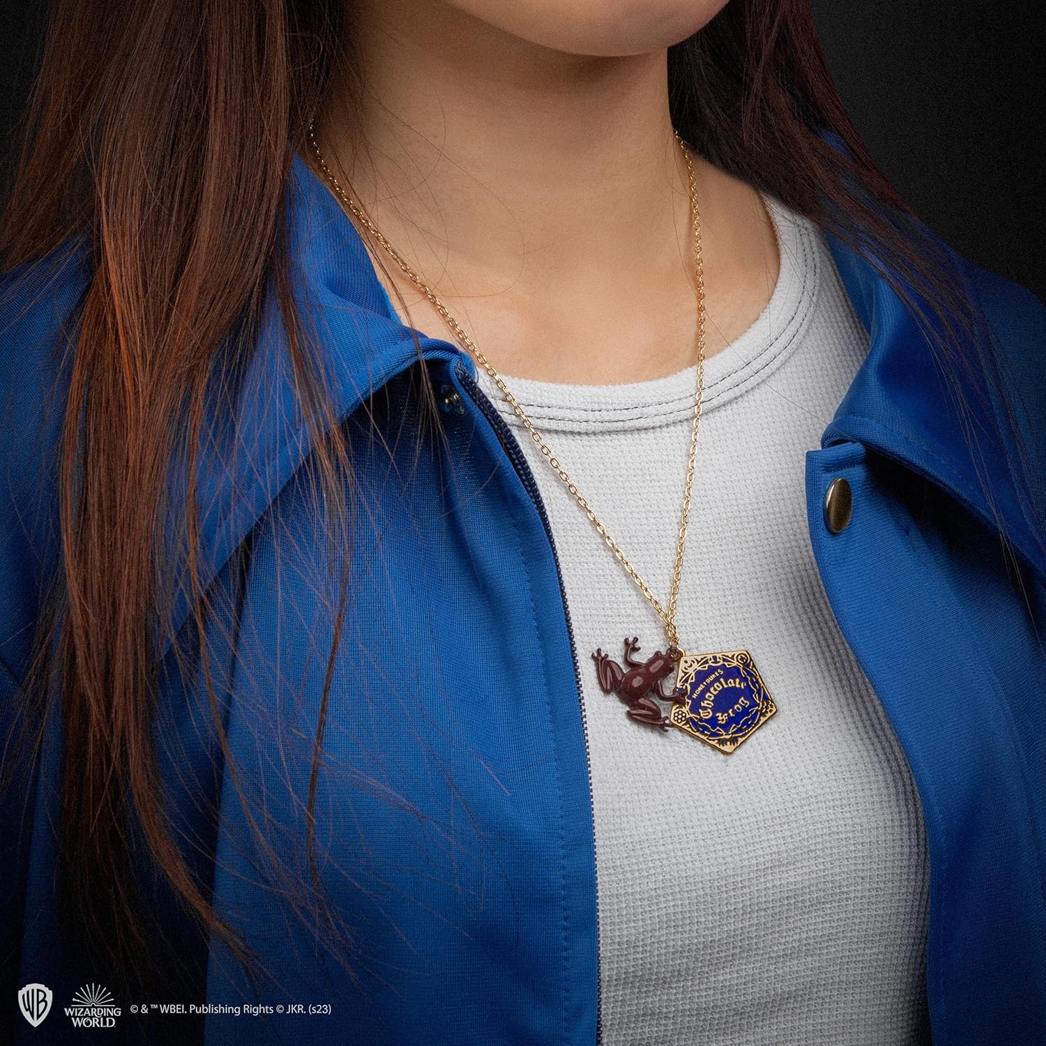 Harry Potter - Chocolate Frog Necklace