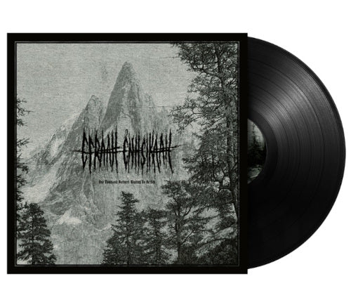 One Thousand Vultures Waiting to Be Fed (Vinyl LP)