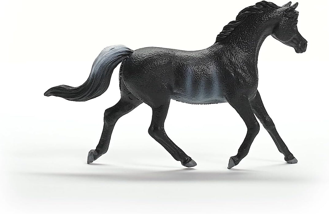 schleich 13981 HORSE CLUB Arab Stallion Figurine for ages 5+