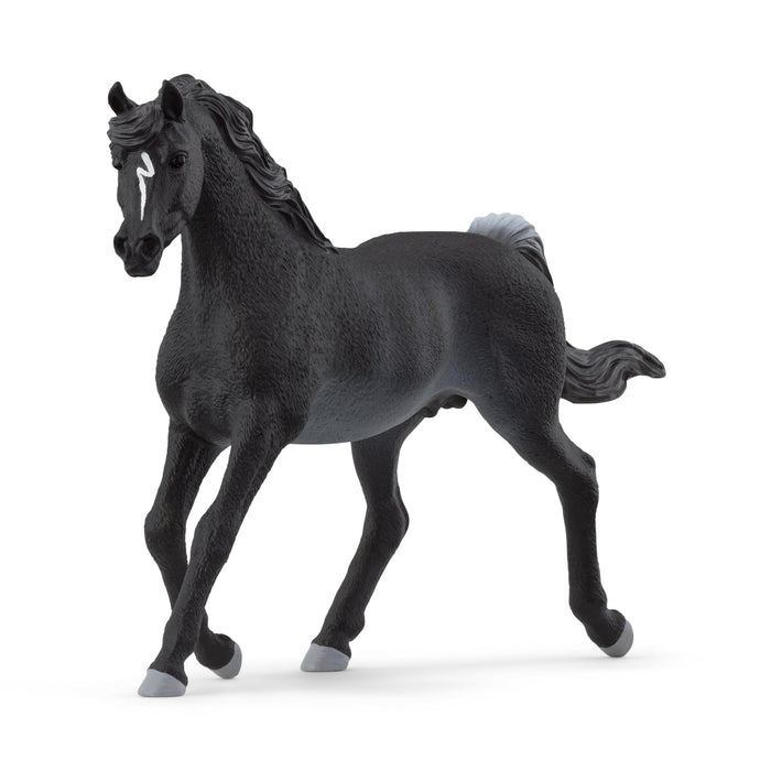 schleich 13981 HORSE CLUB Arab Stallion Figurine for ages 5+