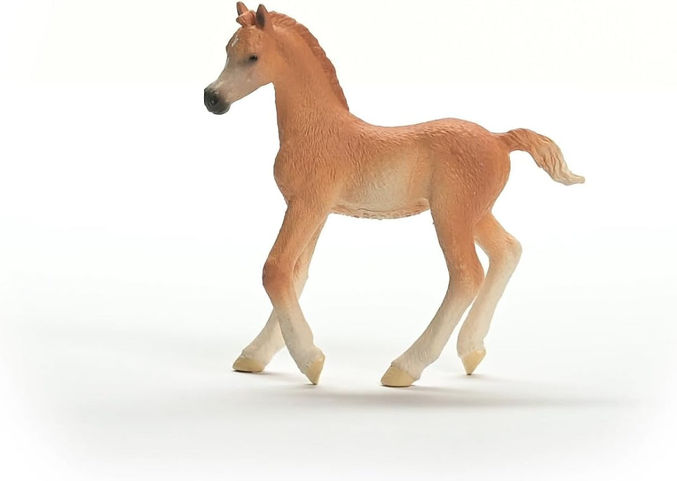 Schleich 13984 Potro árabe, a Partir de 5 años, Horse Club - Figura, 2 x 8 x 8 cm