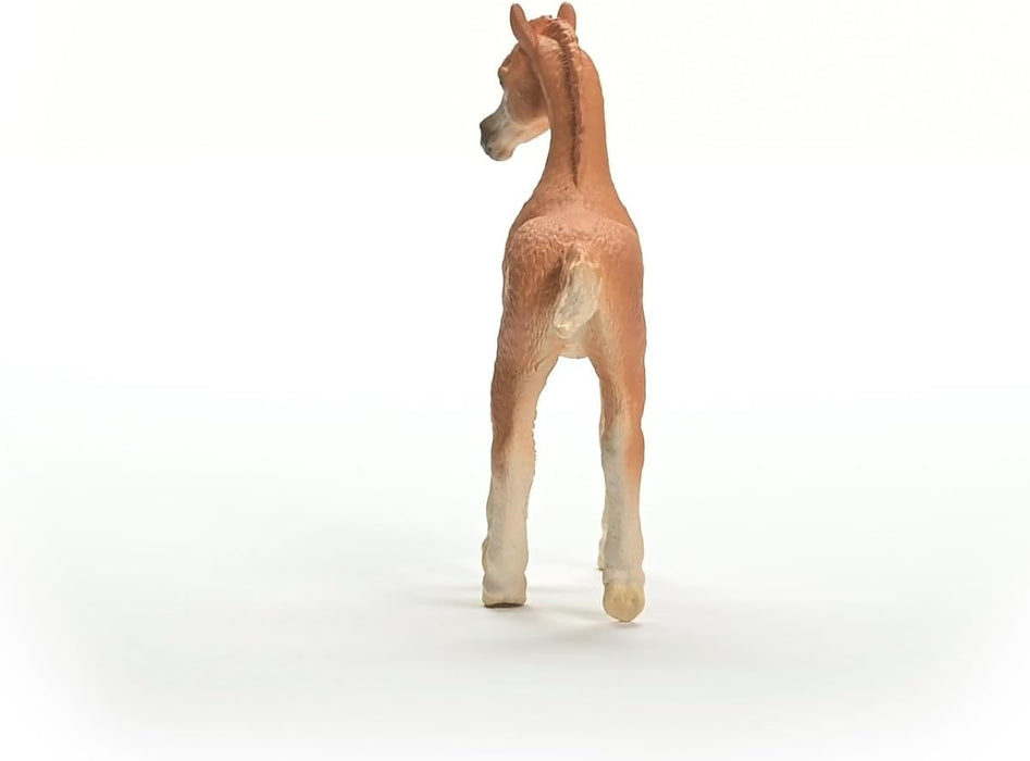 Schleich 13984 Potro árabe, a Partir de 5 años, Horse Club - Figura, 2 x 8 x 8 cm