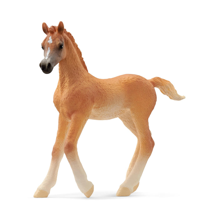 Schleich 13984 Potro árabe, a Partir de 5 años, Horse Club - Figura, 2 x 8 x 8 cm