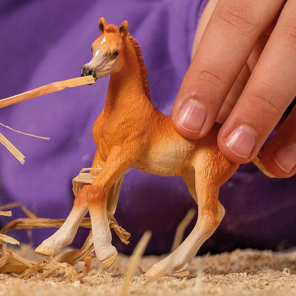 schleich 13984 HORSE CLUB Arab foal Figurine for ages 5+