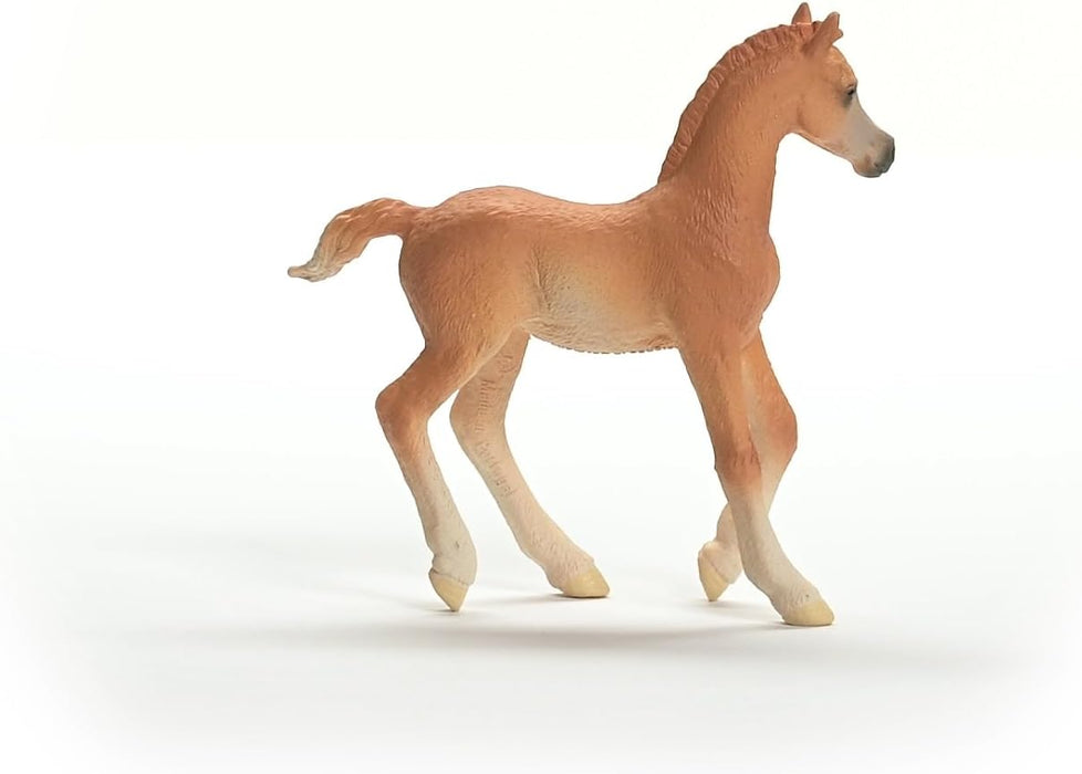 Schleich 13984 Potro árabe, a Partir de 5 años, Horse Club - Figura, 2 x 8 x 8 cm