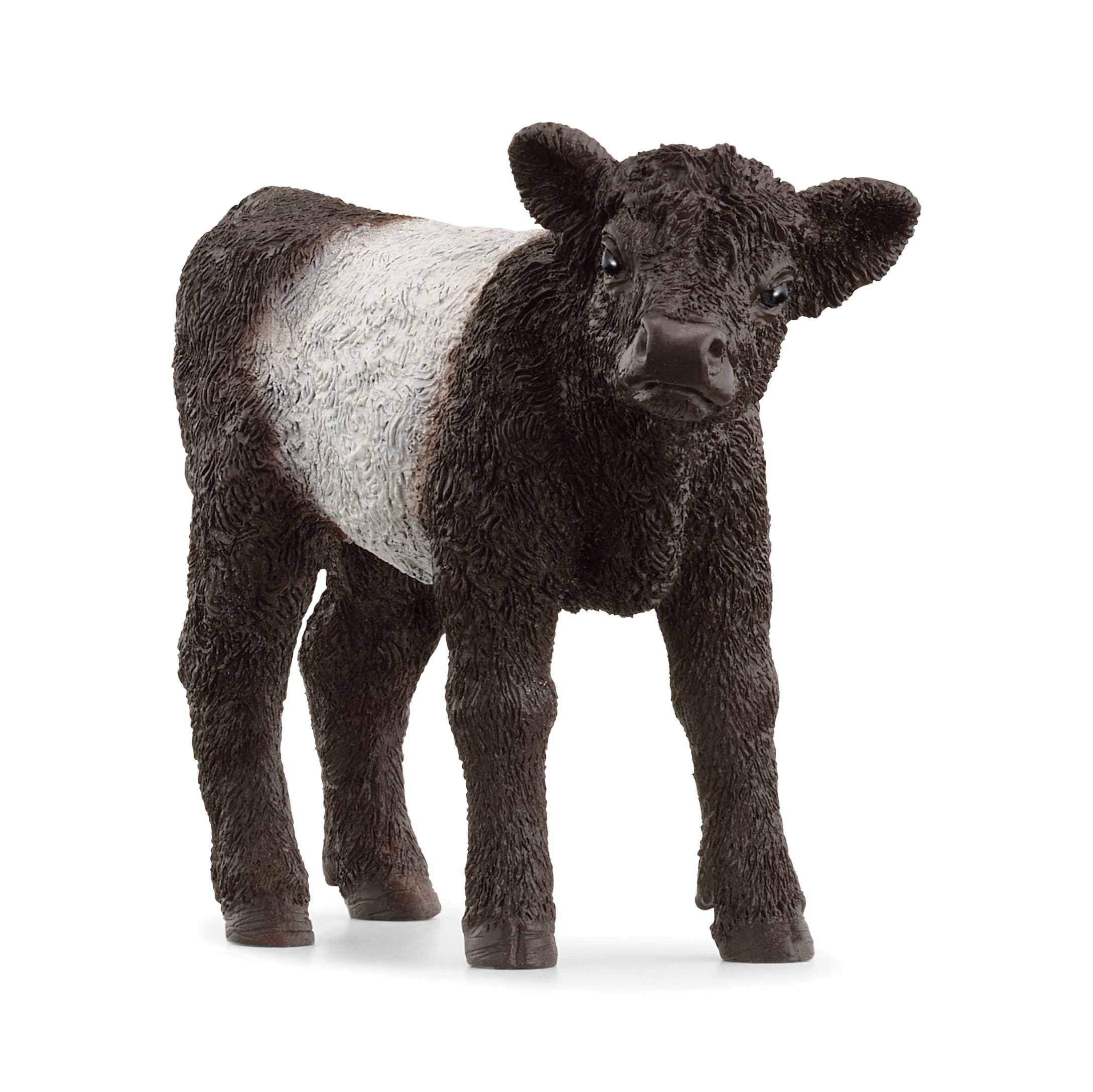 schleich 13969 FARM WORLD Galloway Calf Figurine for ages 3+, Black