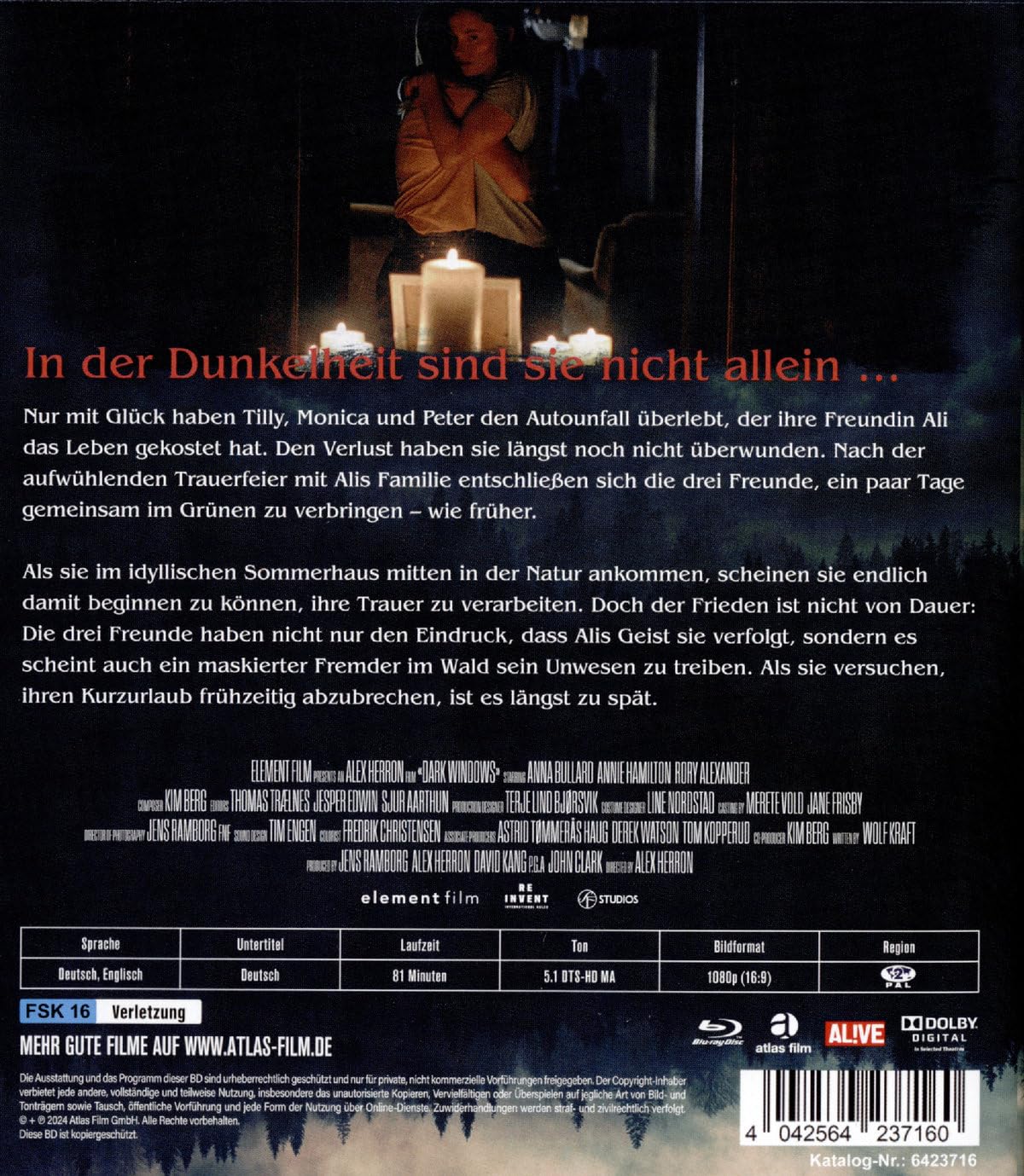 Dark Windows - Fenster zur Finsternis