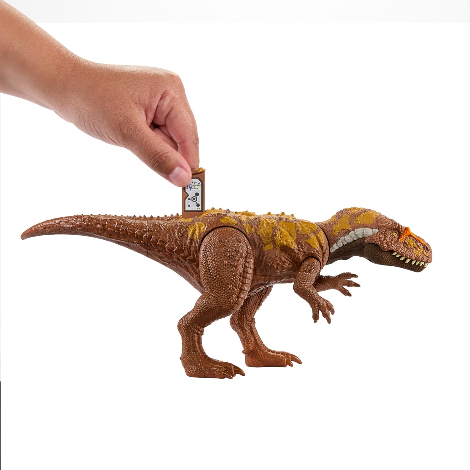 Mattel- Jurassic World Wild Roar Megalosaurus Figuras de Acción, Multicolor (HTK73