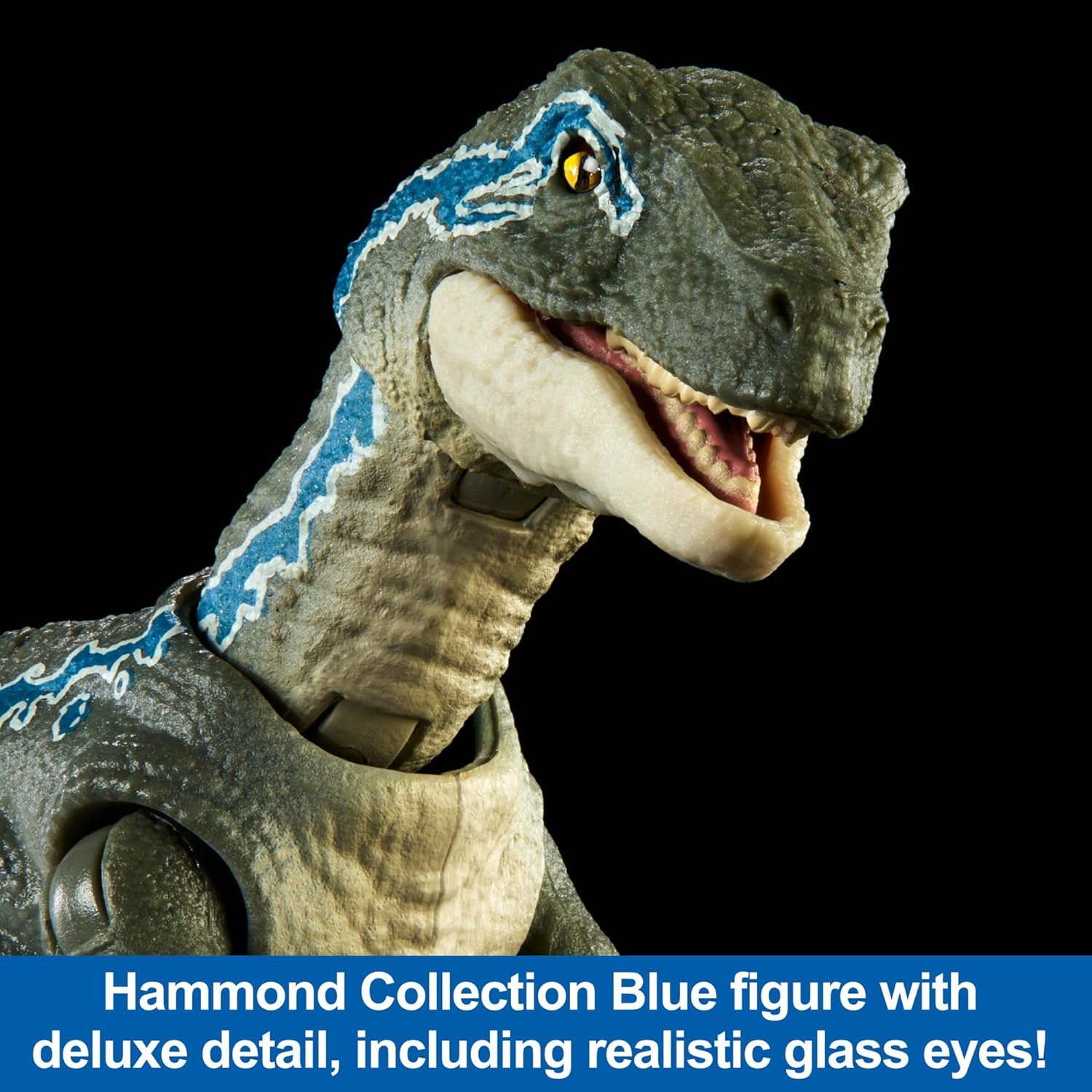 Jurassic World Hammond Collection Velociraptor Blue Dinosaur Figure, Premium Design & Articulation, Collectible Toy, HTV62