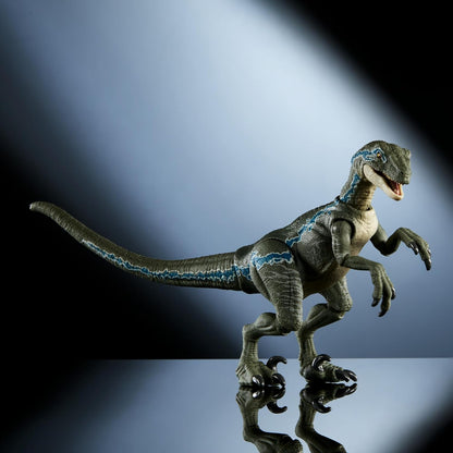 Jurassic World Hammond Collection Velociraptor Blue Dinosaur Figure, Premium Design & Articulation, Collectible Toy, HTV62