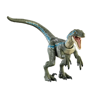 Jurassic World Hammond Collection Velociraptor Blue Dinosaur Figure, Premium Design & Articulation, Collectible Toy, HTV62