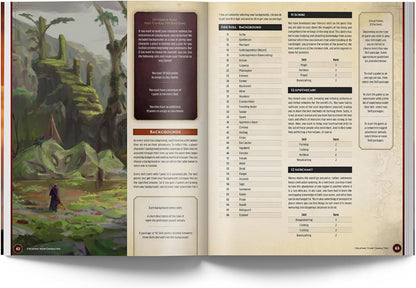RuneScape Kingdoms: The Roleplaying Game