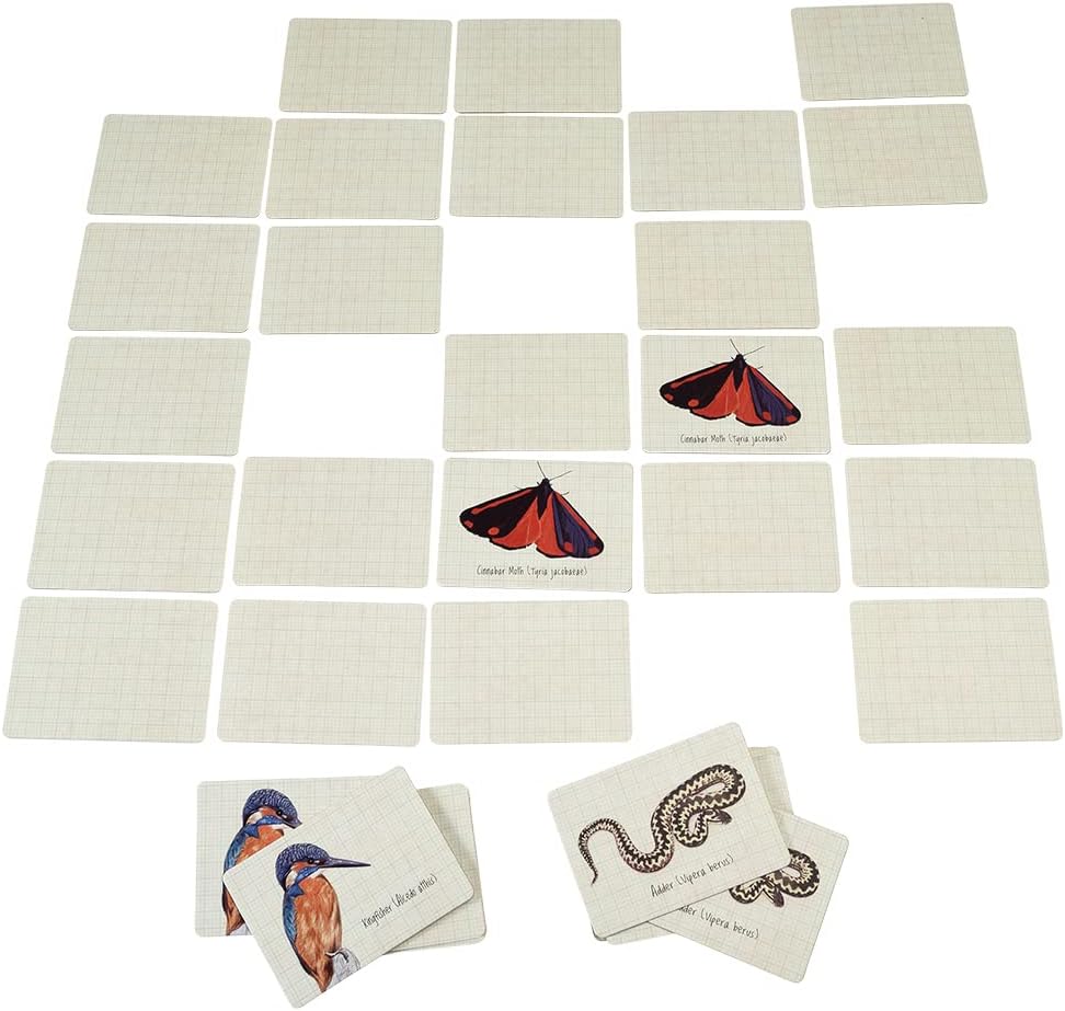 Rex London Kinder Nature Trail Memory Game (40 Teile