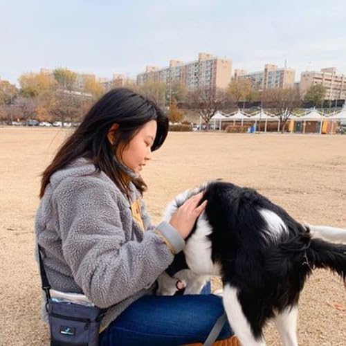 My City and Me: Band 15/Emerald (Collins Big Cat